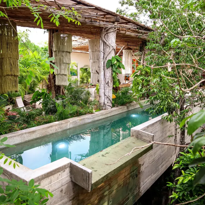 Orchid House Tulum Jungle