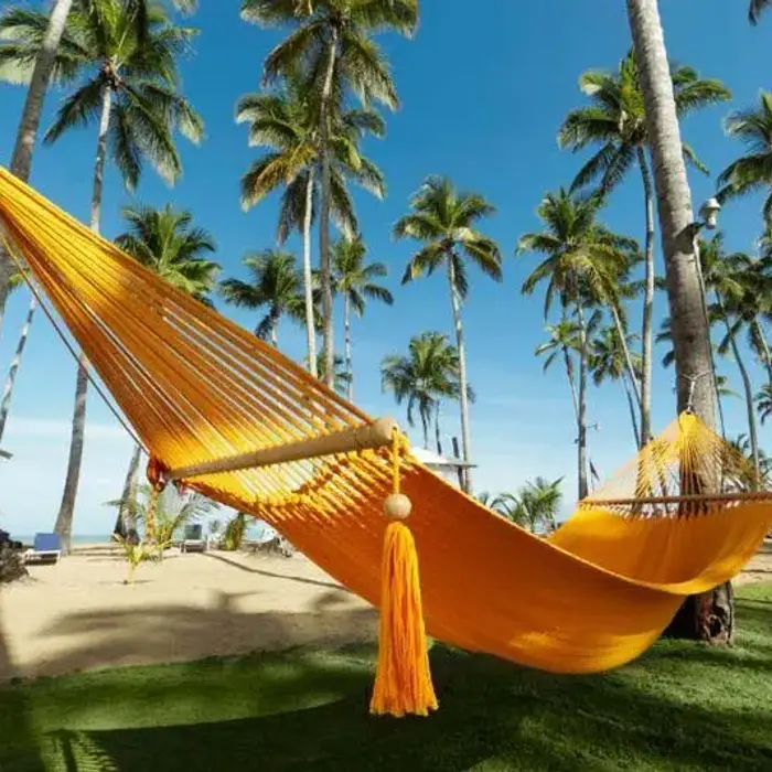 Viva V Samana By Wyndham, A Trademark Adults All I