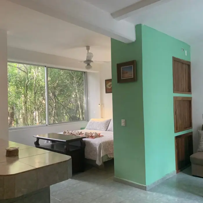 Studio with swimming pool at 12 m height over jungle