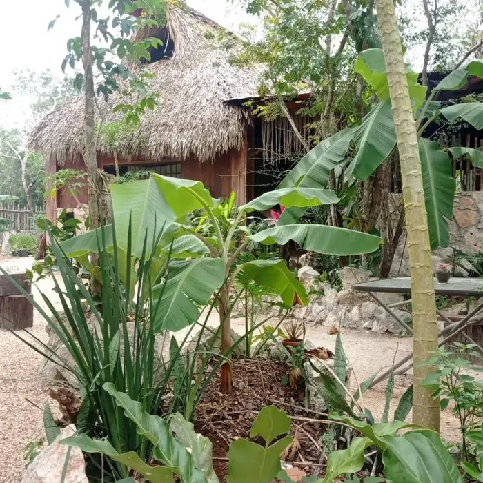 Camping Rancho El Tauro