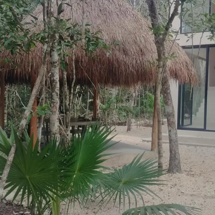Casabel Tulum jungle experience