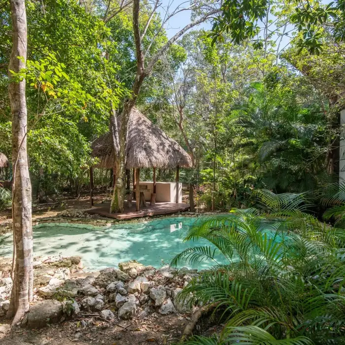 Private Jungle Villa with Full Kitchen & Pool Access