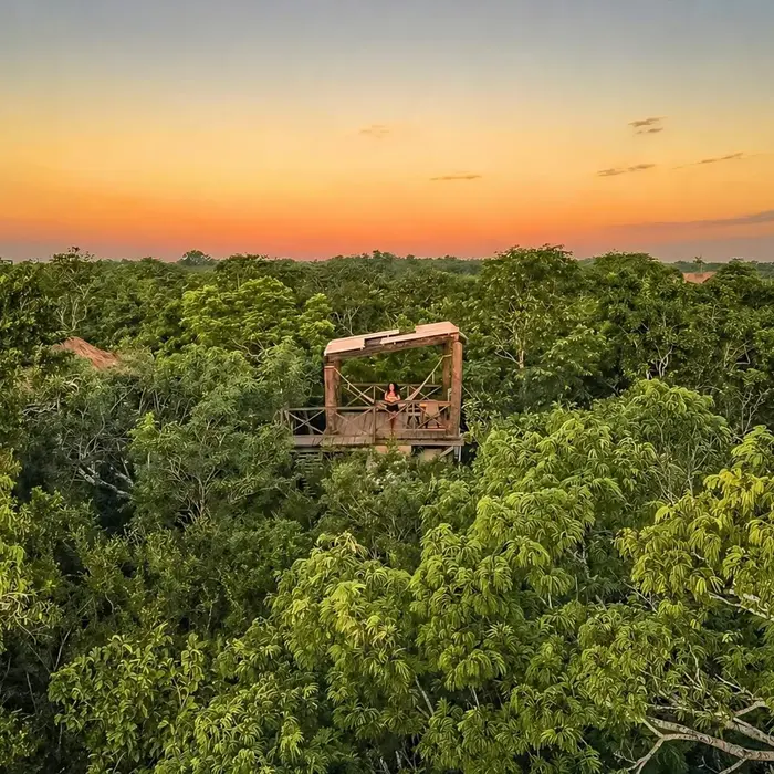 Treehouse Tulum H2Ojos