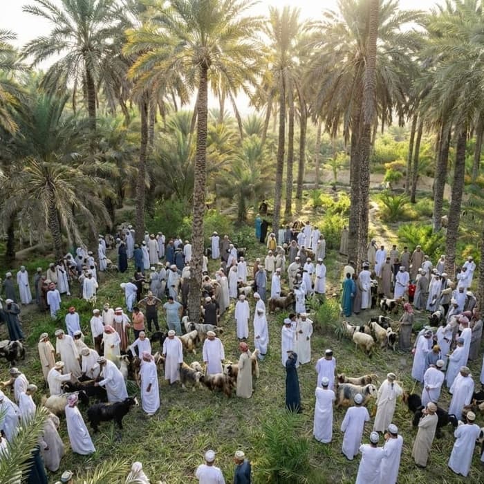 Habta Day at Sarur village from OMR19