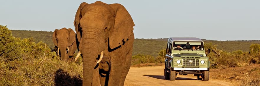 Imagine - Africa de Sud