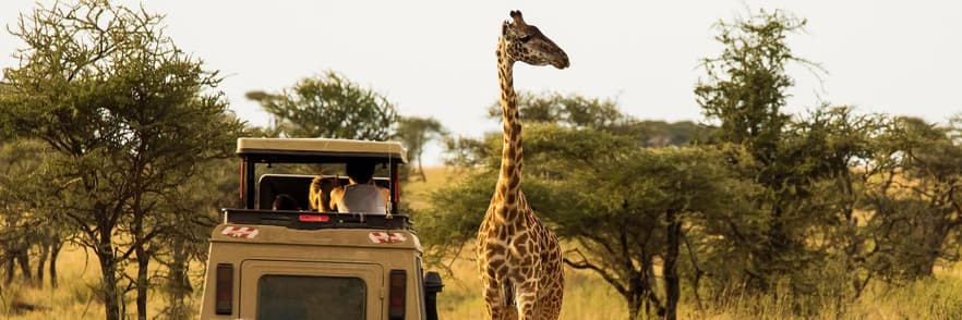 Imagine - Tanzania