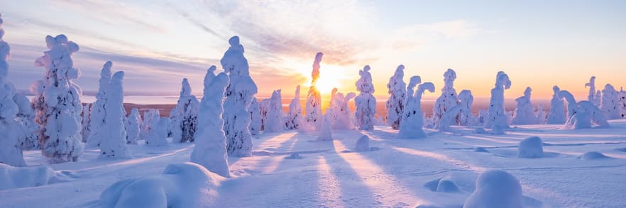 Beeld - Lapland