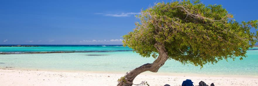 Imagen - Aruba