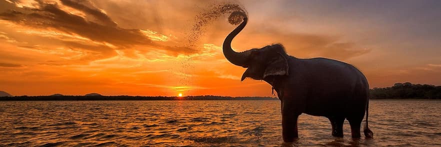 Imagine - Sri Lanka