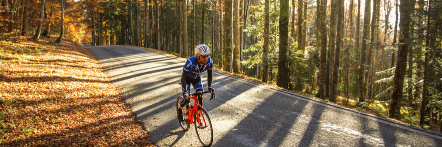 Image - Autumn Activities