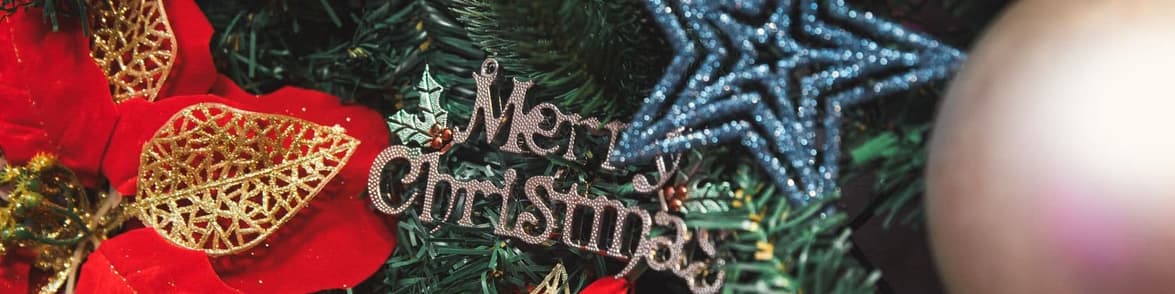 Immagine - Natale e Capodanno
