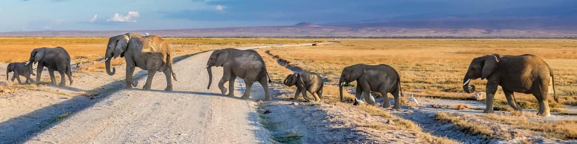 Immagine - Kenia