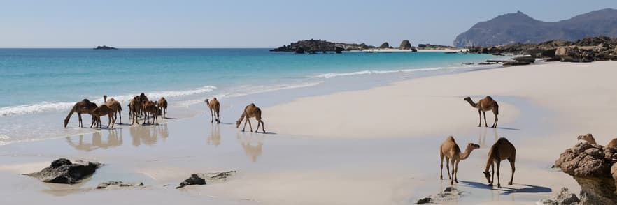 Image - Nature and Wildlife
