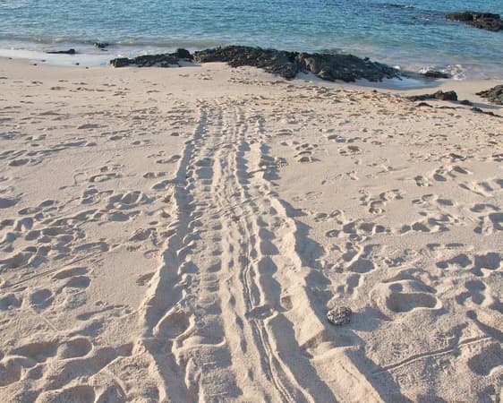 Baltra Island, Galápagos Islands