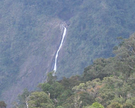 Kinabalu National Park