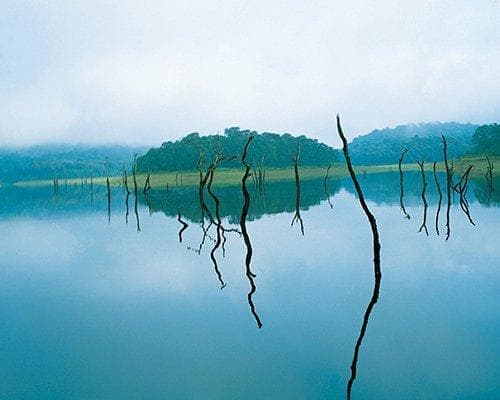 Thekkady