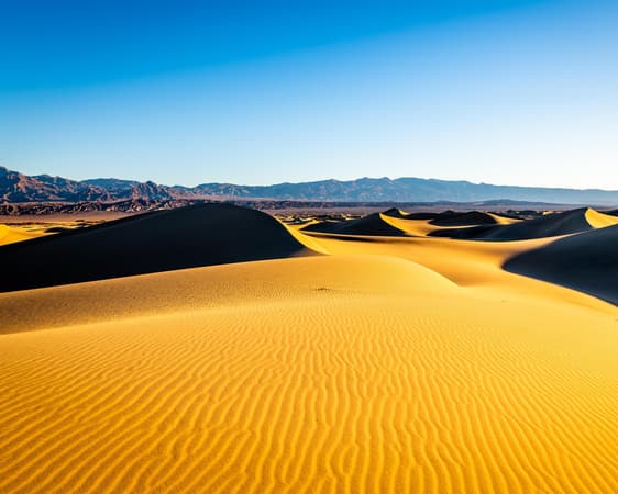 Mesquite NV