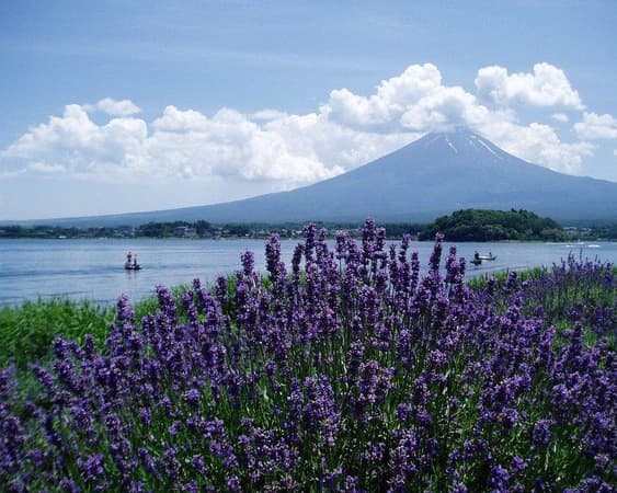 Fujikawaguchiko