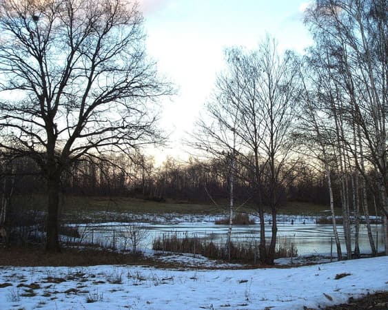 بیلا (استان)