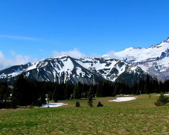 Mount Rainier National Park WA