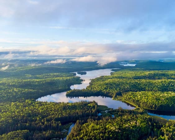 Algonquin Provincial Park, Ontario