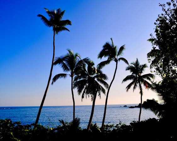 Bamboo Island