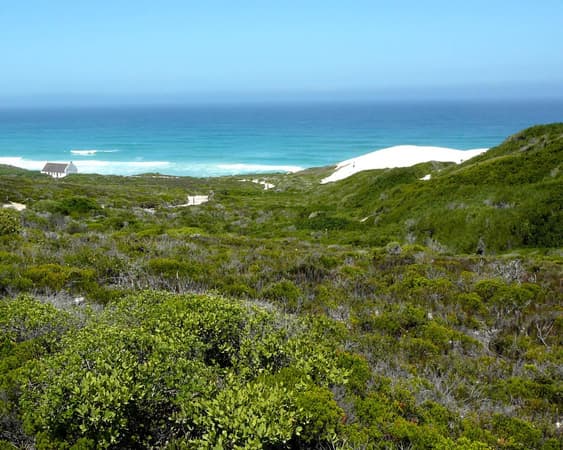 Het natuurreservaat De Hoop