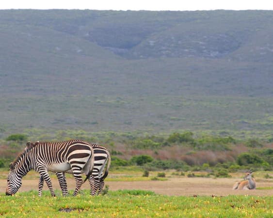 Het natuurreservaat De Hoop