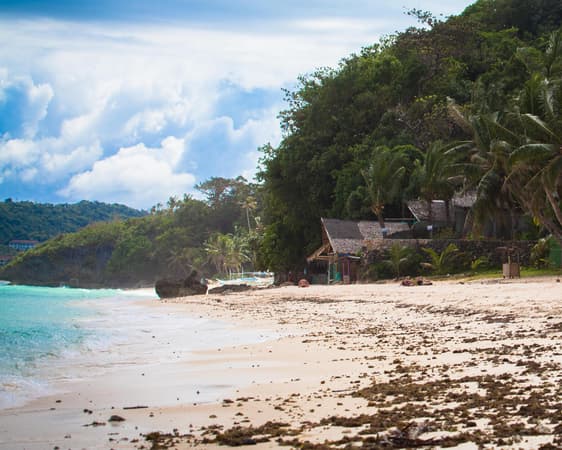 Bamboo Island