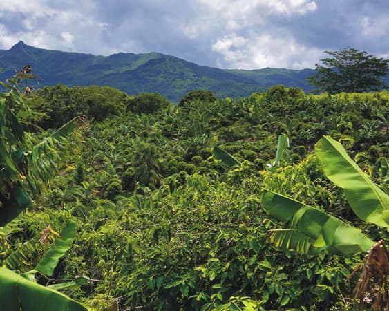 Chamarel