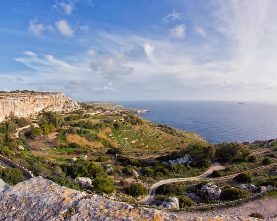 Dingli