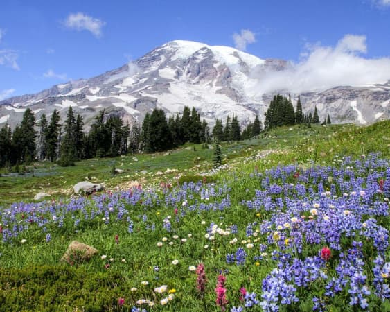 Nationaal park Mount Rainier, West-Australië