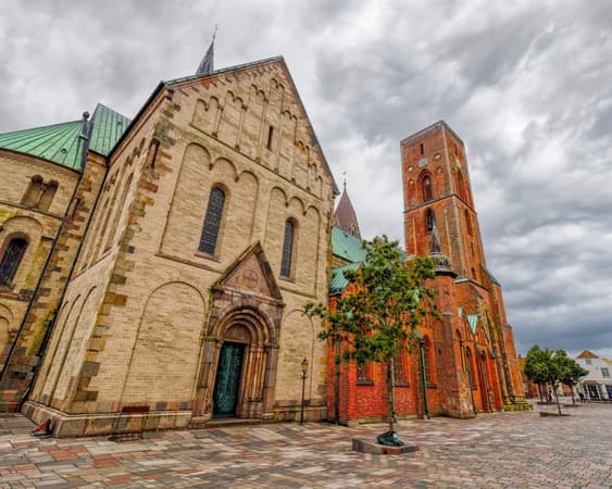 Ribe