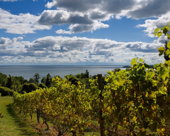 Prince Edward County