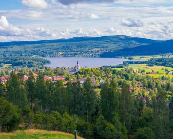 Mora