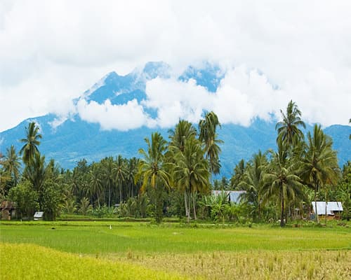 Padang