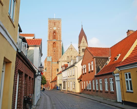 Ribe