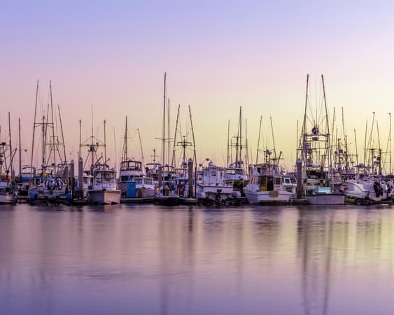 Half Moon Bay CA