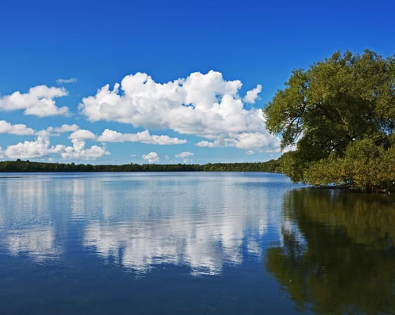 Prince Edward County