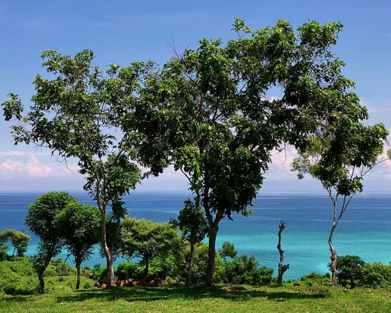 Uluwatu