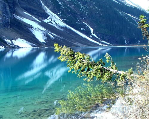 Lake Louise