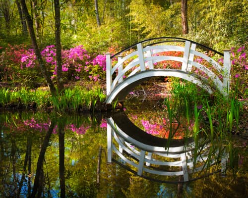 Чарлстън, Южна Каролина