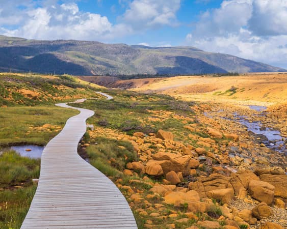 Gros Morne National Park