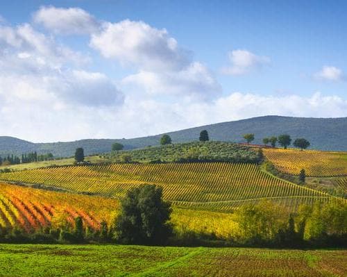 Castellina In Chianti