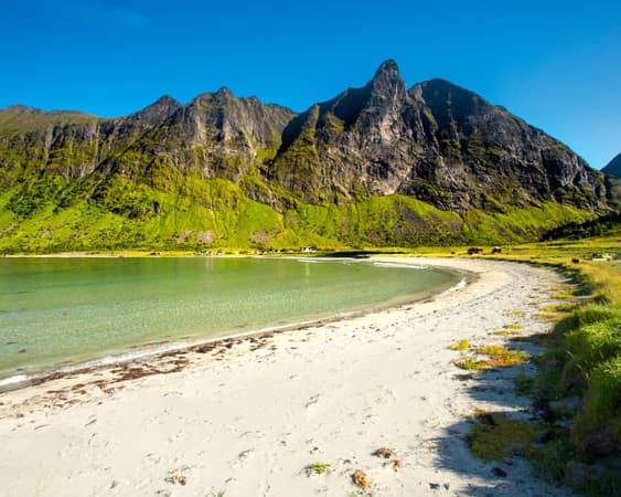 Senja