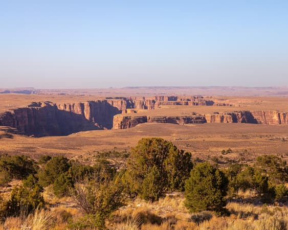Cameron AZ
