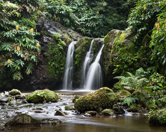 Parque Natural de São Miguel