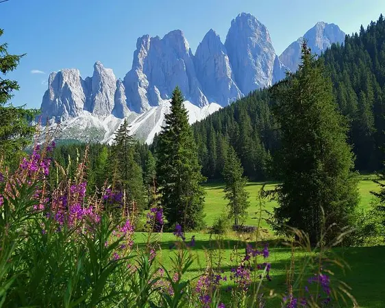 Τρεντίνο-Άλτο Άντιτζε