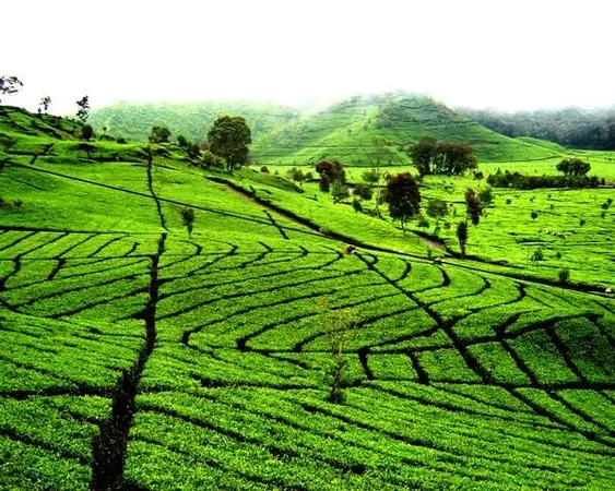 Badung