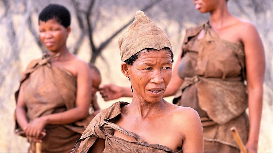 Image - 25-day Kruger  Victoria Falls to Cape Town Camping